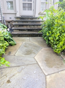 Here is the stone path after it's all done. The natural bluestone looks looks great.