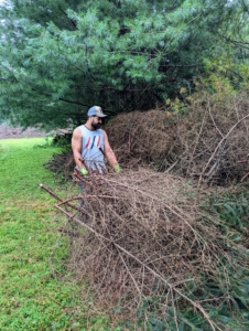 Adan helps to move the branches that are cut down. My crew always works in teams, so there is always help for every project.