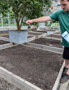 Here, Ryan plants them by broadcasting. In agriculture, gardening, and forestry, broadcast seeding is a method of seeding by scattering over the area. This works well with those plants that don't require specific spacing.