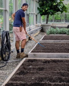 Matthew is careful to keep track of what furrows need to be deeper. All these beds are raised. Raised bed gardening allows good drainage, prevents soil compaction, and provides protection for those plants that may otherwise get trampled.