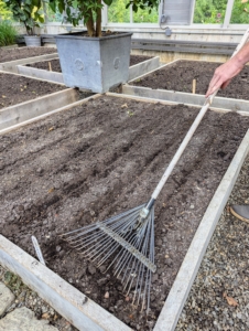 Once all the seeds are dropped into their various beds, Ryan uses the back of a soft rake to backfill all the furrows.