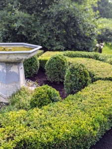 I am so pleased with how well these formal gardens have developed over the years. I've worked hard to maintain the detailed shapes of the hedges and shrubs. This is the lower terrace that is located just outside my Winter House. It's a lovely place to sit and conduct meetings or enjoy a lovely summer lunch.