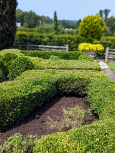 These gardens look so excellent after a good grooming.