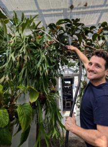 Inside my main greenhouse, Ryan checks every plant to make sure it is properly watered. It is extremely important that all the plants are well fed and well watered. As I always say, if you eat and drink, so should your plants.