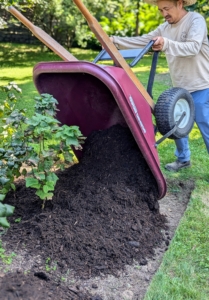 First he manually delivers wheelbarrows of mulch to the bed and drops mulch in sections.