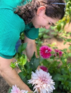 Dahlias can grow on both tall and shorter stems, so Enma makes sure to look both high and low for the best looking blooms. She also looks at the entire flower before cutting to make sure the back leaves have not started to fall off. The petals should not be wilted or discolored.