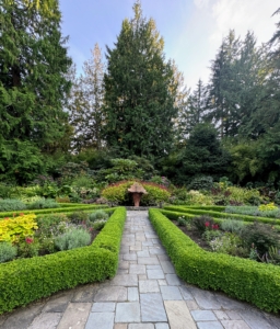 Heronswood received international acclaim for its large and diverse display garden and is a favorite destination for gardeners, researchers, students and plant lovers alike. Here are views of the Heronswood Potager with boxwood hedges.