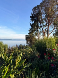 The views are breathtaking. Dan planted drifts of sun-loving perennials, most of which do not need supplemental water during the growing season.