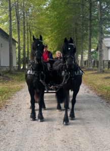 While my busy lifestyle is currently better suited for horseback riding, I have long enjoyed horse drawn carriage riding. In fact, my neighbor and friend, the late Mr. David Rockefeller and I enjoyed carriage rides through Acadia National Park up in Maine on the same roads built as a gift by David’s father, John D. Rockefeller Jr. from 1913 to 1940. I was excited to get back in a carriage and ride again. Here I am with Anne out for a ride at my farm with my stable team and our leaders, Hylke and Geert.