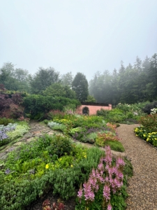 I visited the Abby Aldrich Rockefeller Garden. The garden was designed by the legendary landscape architect, Beatrix Farrand, for John D. Rockefeller, Jr. and his wife Abby Aldrich Rockefeller in the 1920s.