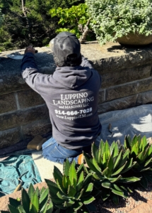 I've worked with Luppino Landscaping and Masonry for years. In fact, Carmine Luppino and his team, did all the stonework at my Bedford farm.