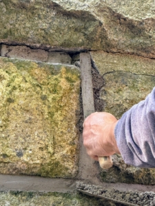 Alfonso uses a pointer trowel to properly compact and shape the mortar. Alfonso has been a mason for many years and is extremely knowledgeable and skilled at repointing all kinds of stone and brick work.