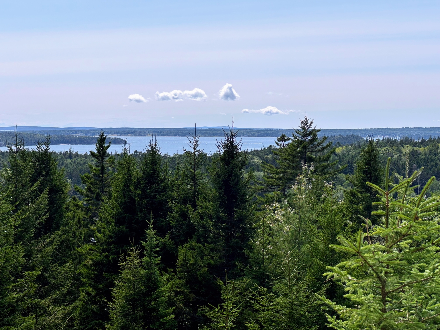 Summer in Maine 2024 - The Martha Stewart Blog