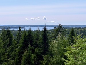 And here's a view that never gets old - looking out to Seal Harbor from Skylands. My trips to Maine are always chock full and so enjoyable. I only wish my time there didn't go by so fast. What a lovely summer.