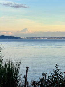 I couldn't leave the area without visiting Windcliff, the current home and garden of Dan and Robert on Washington State’s Kitsap Peninsula. The garden is built on a bluff with spectacular views of Mt. Ranier in the distance.