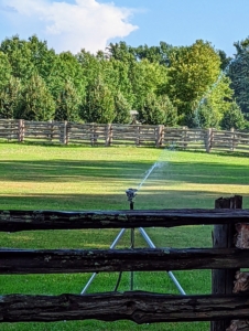 I always instruct the crew to never direct hard spraying sprinklers at trees – this may mar the bark. Instead, use harder sprays for open spaces and wide lawn areas.