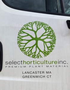 Select Horticulture Inc. has locations in Lancaster, Massachusetts and here in Westchester, New York right off route 137. It is owned by Scott Richard and Jim Freeborn who are extremely knowledgeable and often at the nurseries ready to answer any questions.