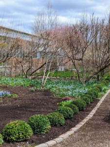 The bed is near the front entrance of my main greenhouse. I have many smoke bushes and perennials planted in this area and wanted everything to blend in nicely.