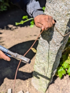 Once it is all the way through to the end of the row and through the other post, Pete cuts the wire leaving about a foot of extra length on both sides.