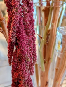 These dark pink amaranth flowers drape nicely over the vase. And look at the stems - they are thick cylindrical, fibrous, succulent, and bright colored.