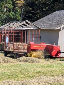 And finally, the hay is picked up, made into a bale and thrown into this trailer where other outdoor grounds crew members work together to grab the bales and stack them.