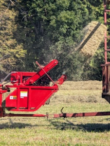 Here is a bale of hay as it is lifted in the baler’s reel and moved up the conveyor belt. And then propelled into the wagon by a mechanical arm called a thrower or a kicker. The bales are manageable for one person to handle, about 45 to 60 pounds each.