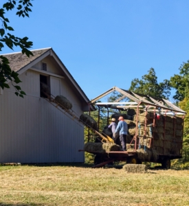 This cut of hay is stored first in the loft above my run-in shed. It will be moved closer to the stable when needed. And that's a week of hard work in the hayfields - we got 663 bales this round. It makes me so happy to know I can grow good, nutritious hay for my horses right here at my farm.