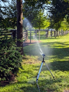 Many ask my why I don't have expansive irrigation systems installed at the farm. I actually prefer manual watering, to ensure there is coverage everywhere - with a farm this size, it's important to get to all the gardens. These individual watering supplies are also very easy to maintain.