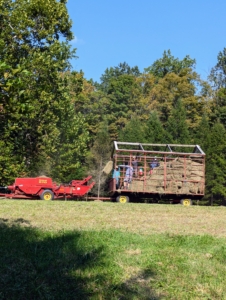 In less than an hour, the wagon is almost completely filled with bales of hay. Each bale is about 15 by 18 by 40 inches large. The number of flakes in the bale is determined by a setting in the baler. Many balers are set for 10 to 12 flakes per bale. I have two hay trailers. Each one can hold about 150-bales.