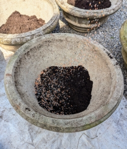 Ryan also sprinkles a generous amount of fertilizer and mixes it in with the potting soil.