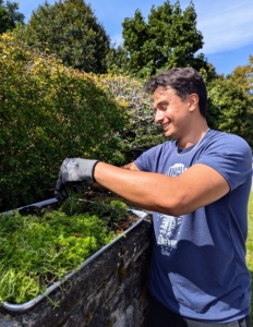 Our NYBG garden intern, Matthew, is tasked with planting this tray of sedum along the wall.