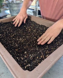 Ryan fills the container about two-thirds with the soil mix. The best bonsai containers are shallow. Shallow pots limit the space available for the roots to spread out, which prevents the tree from growing too large.