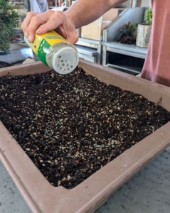 Next, Ryan sprinkles a generous amount of Miracle-Gro Shake 'n Feed All Purpose plant food which contains natural ingredients to feed the microbes in the soil.