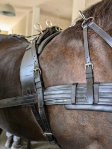 When well fitted and properly positioned on the horse, the equipment should distribute the weight evenly and never rub against the horse's shoulders. They should be snug, allowing just two or three fingers to fit between the leather and the horse.