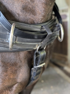 A carriage breast collar should fit a horse snugly, but not too tight, and should always allow the horse to move freely.