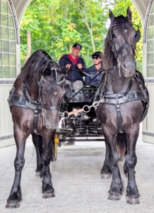 Before lunch, Anne, Helen, Juan, and Jimmy go out for another brief ride around the farm. Keeping horses primed for pulling a carriage requires a great deal of time and effort, which is very difficult to maintain.