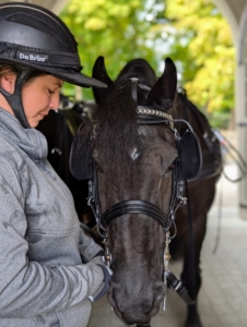 Helen starts unhooking the equipment right away, and thanking my hardworking steeds for a good, safe ride. Well done my stately Friesians!