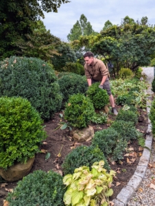 My head gardener, Ryan McCallister, places each boxwood where it will be planted.