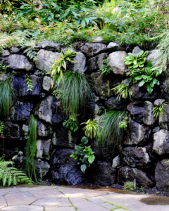 Heronswood is a botanical garden located in Kingston, Kitsap County, Washington. The garden was established in 1987 by plantsman Dan Hinkley and his husband, Robert Jones, an architect. It features a unique collection of plantings from Asia, Central and South America, Eastern Europe, South Africa, New Australia & Zealand. (Photo by Samantha Jones for Heronswood)