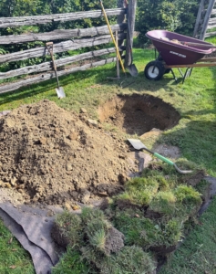 My gardeners and outdoor grounds crew started digging right away. The holes must be pretty wide – at least two to five times as wide as the root ball. The hole sides should also be slanted. Digging a wide planting hole helps to provide the best opportunity for roots to expand into its new growing environment. Once the hole is dug, it is amended with fertilizer.