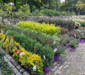 I was so excited when this delivery of plants arrived at my farm. Right away, the plants are placed in organized rows according to type so they are easy to see, count, water, feed, and access when it is time to plant.