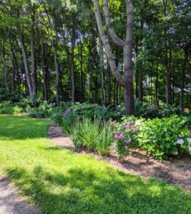 It’s developed nicely over the years, but my head gardener, Ryan McCallister, and I keep an eye on it and supplement it with other plantings to fill in any voids.