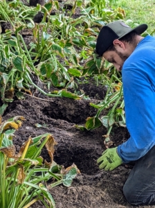 Alex works in an assembly line process preparing several holes at a time before planting.