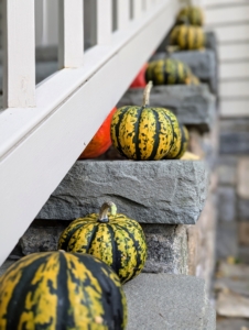 And on the steps to my home. No other ‘decorating’ is required. Just lining them up makes a wonderful fall display.