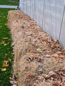 We've already begun placing old bales of hay around the hoop houses to add insulation for the coming cold.