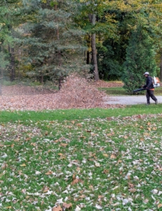 My outdoor grounds crew is already very busy blowing all the leaves.