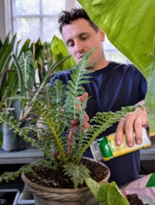 Ryan sprinkles fertilizer over the soil after planting each one. We use the all-purpose fertilizer Shake 'N Feed from Miracle-Gro.