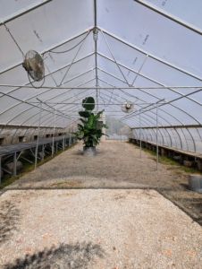 This hoop house is 60-feet by 26-feet. All the hoop houses are covered with a heavy-duty, woven polyethylene plastic that features an anti-condensate additive to reduce moisture buildup and dripping. It is also covered with a layer that contains UV additives that allow the fabric to maintain its strength.