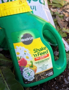 And we're also using Miracle-Gro Shake 'n Feed all-purpose plant food.