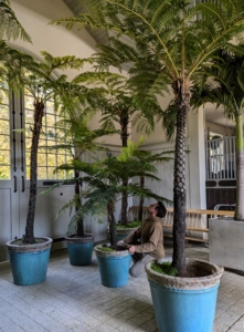 As the plants are brought into the stable, they are all arranged with enough space in between them, so they don’t touch. Keeping them separated prevents any diseases that could possibly spread during the storage time. Fortunately, all my plants are in excellent condition. Ryan checks all the plant foliage - and no two plants are touching.